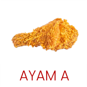 AYAM A
