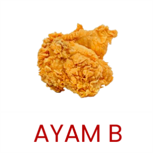 AYAM B