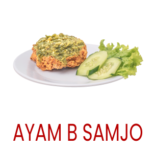 Ayam B Samjo